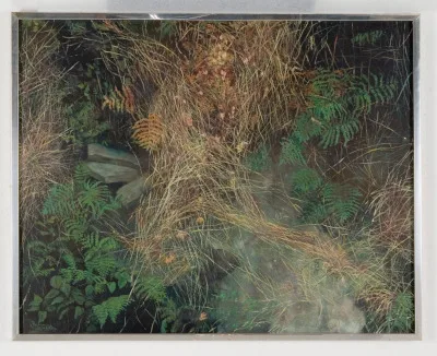 Vexetal José Ignacio Pardo Pedrosa Óleo sobre táboa 70 x 88 cm Segundo premio Sección Pintura