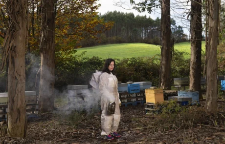 Apicultora, Pereiramá (Castroverde)